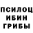 Галлюциногенные грибы Psilocybe Vasiliy.Alexsandrovich