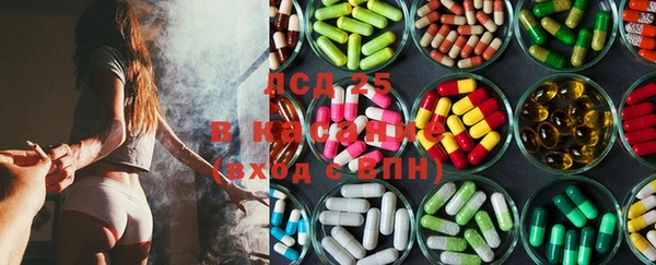 стаф Сатка